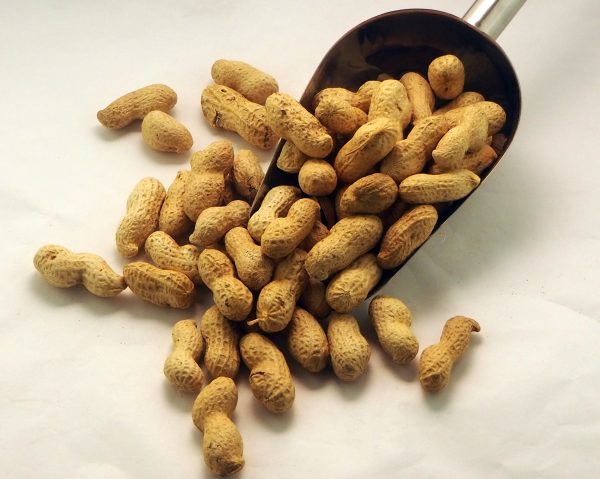 Cacauet Torrat Closca