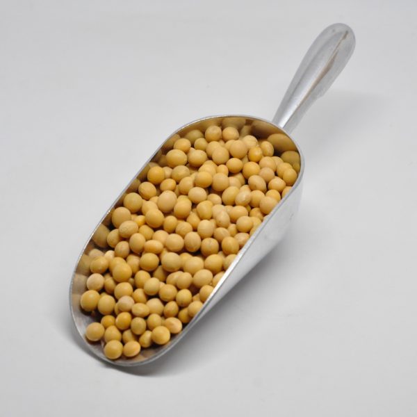 Soja Blanca ECO
