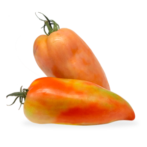 Tomàquet Pebrot **